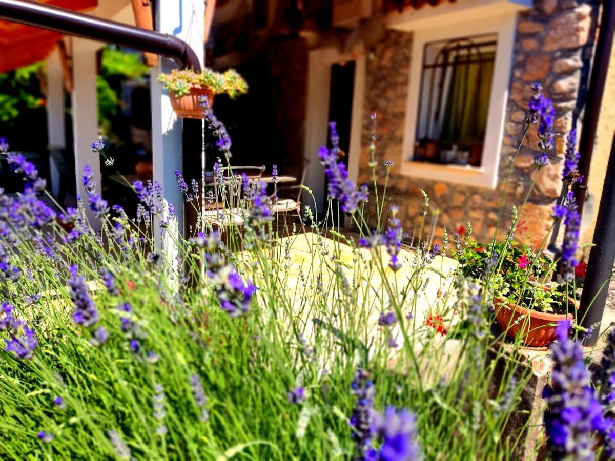 Apartman Pelcic Kostrena Exterior foto